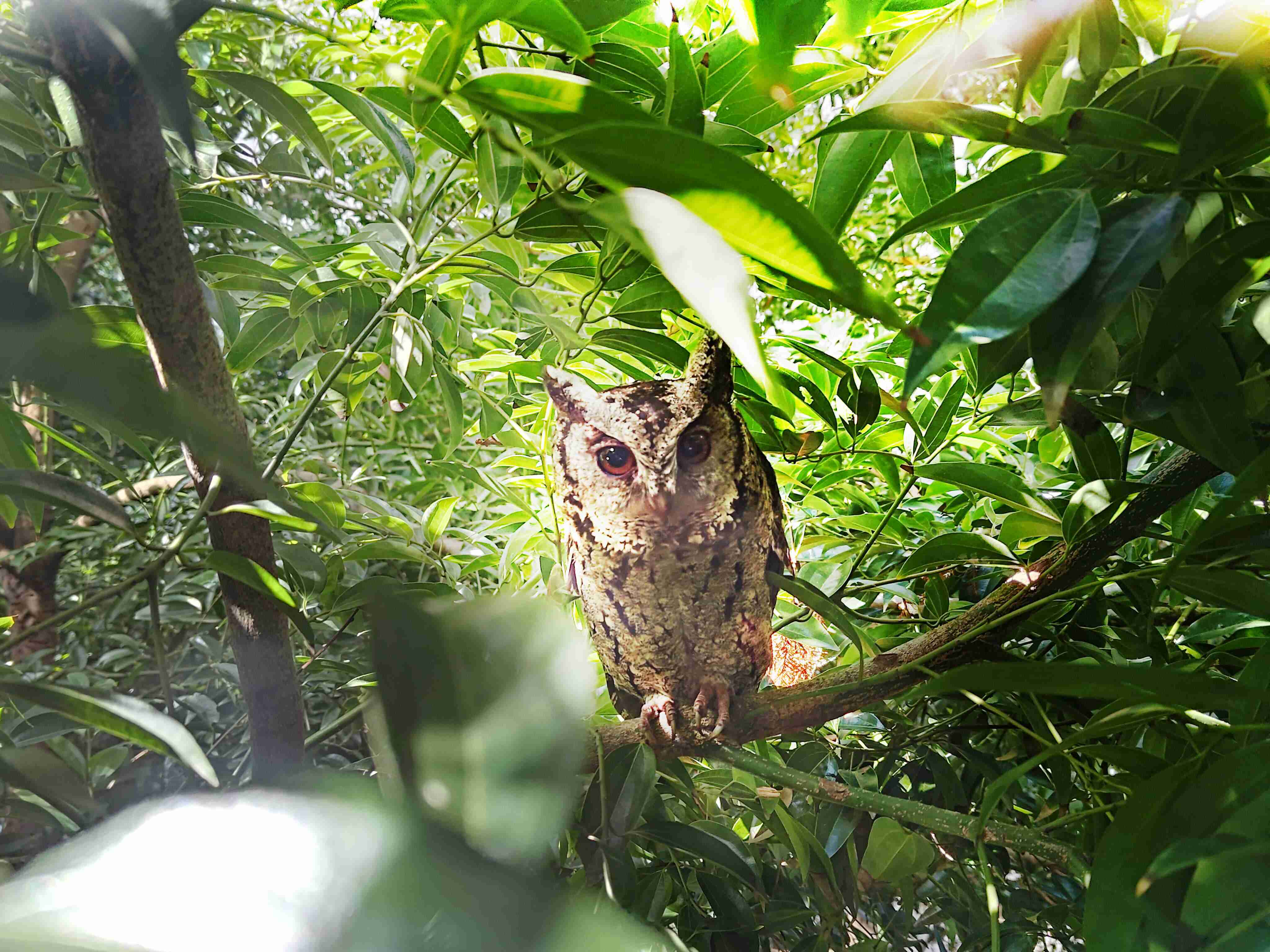 杏悦2致力提倡净零绿生活，，，，16年以来在全球各厂区植树逾百万棵，，，造就各厂区树木蔚然成林，，，犹如森林工厂，，，，成为许多生物的栖息地